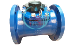 Water Meter AMICO 8 Inch
