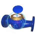 WATERMETER BESTINI 2 INCH