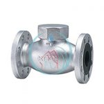 Lift Check Valve Kitz 3 Inch