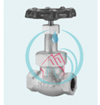  Globe Valve 1 Inch Kitz 