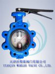 WATER BUTTERFLY VALVE